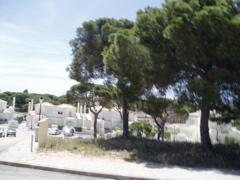 P1010033